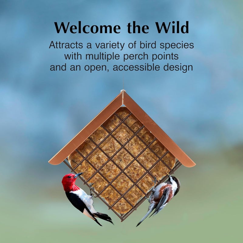 CS C&S Hanging Suet Basket with Roof for Wild Birds - Image 2
